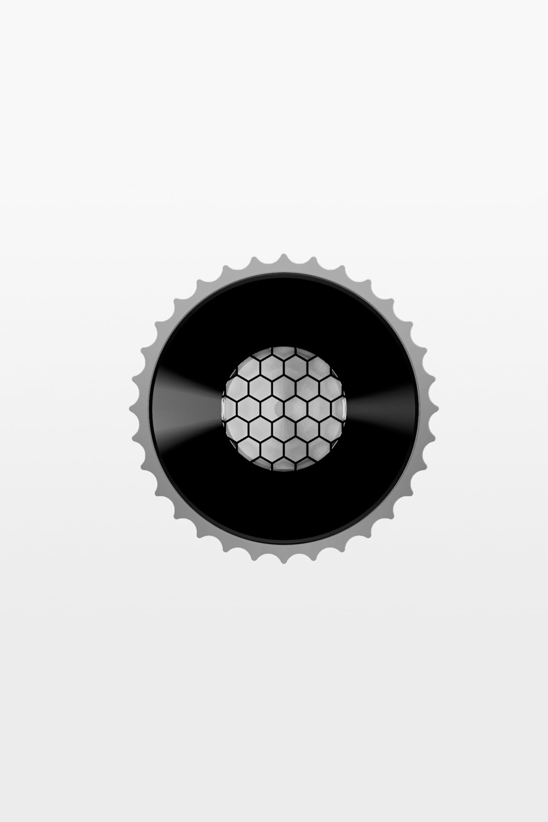 Daisy Up & Down